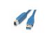 10ft USB 3.0 A Male to B Male 28/24AWG Cable