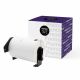 Premium Brand Compatible DK1241 Large Shipping Die-Cut Labels 4 in x 6 in (102 mm x 152 mm) 200 Labels Per Roll 