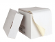 Dot Matrix Continuous Printing Paper 9.5 x 11 in 2 colors